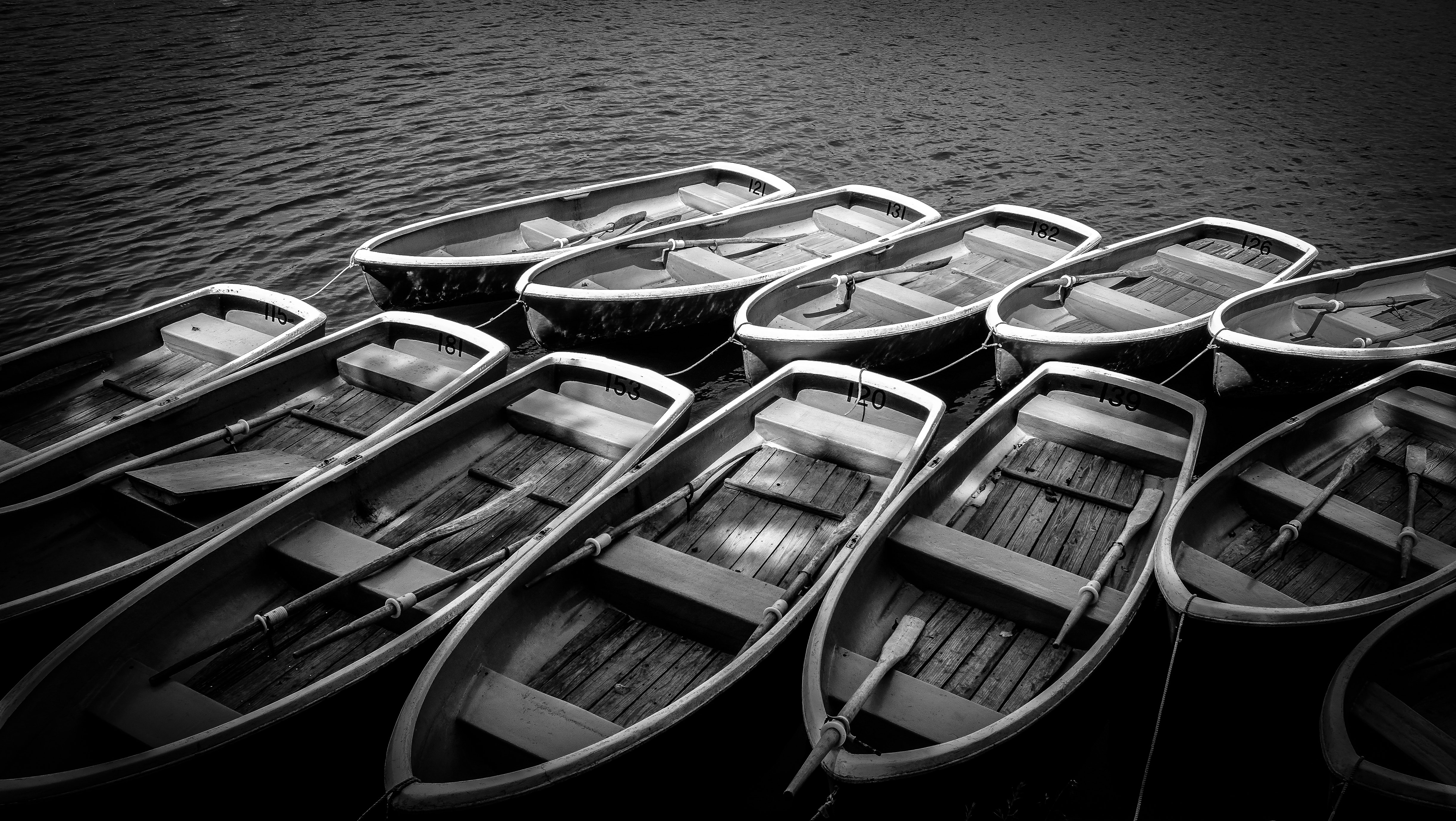 18/02/2019 - Lac d'Annecy : des bateaux-navettes pour l'été - Actualités