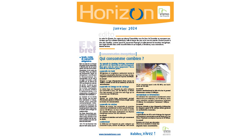 Lettre Horizon - Janvier 2024 - Actus immobilières dans le Nord