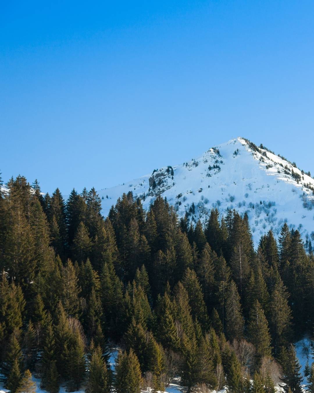 Actus & Evènements Megève