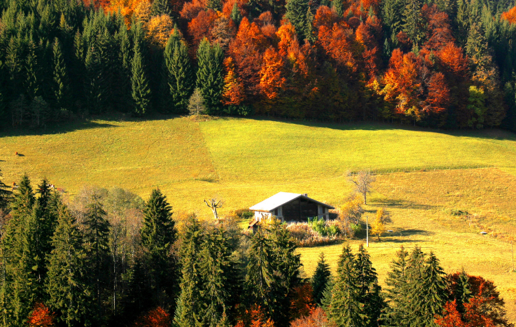 L'automne au Pays du Mont-Blanc, avant que la neige ne prenne le relais - Actus & Evènements Megève