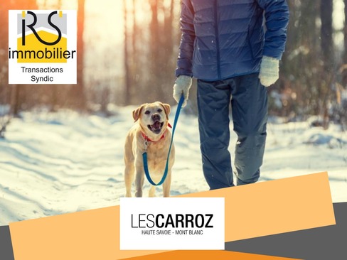 You have a loving dog ? Keep Les Carroz streets and your environment clean - News: Properties manager