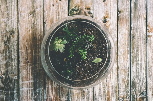 Fabriquez votre terrarium pour vos aromates ! - Les Dernières Actualités Immobilières en Haute-Savoie - Réso Immobilier